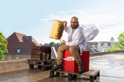 Award-winning honey from Kassel's bees